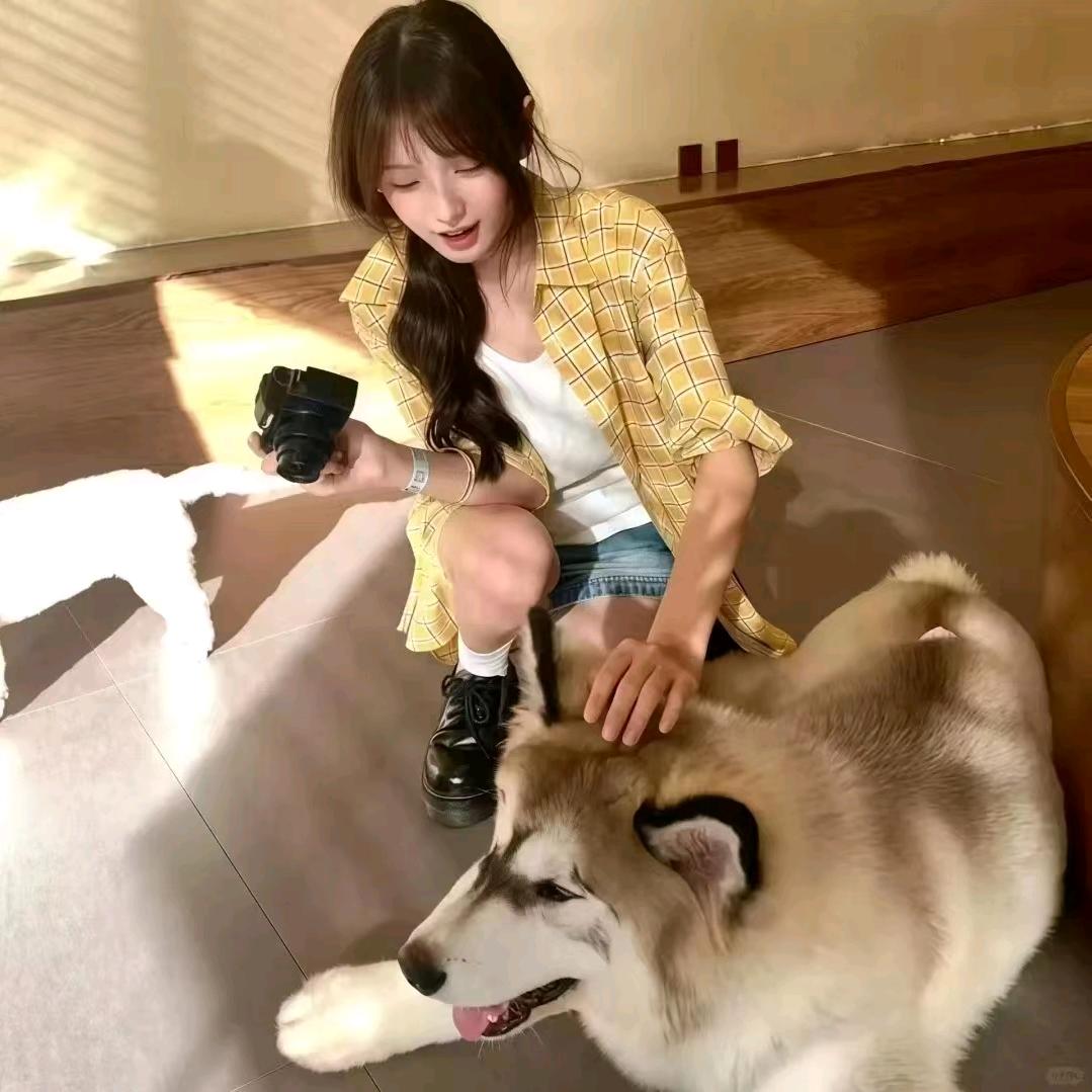 曲奇饼