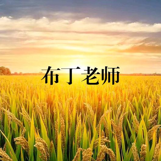 布丁老师课堂