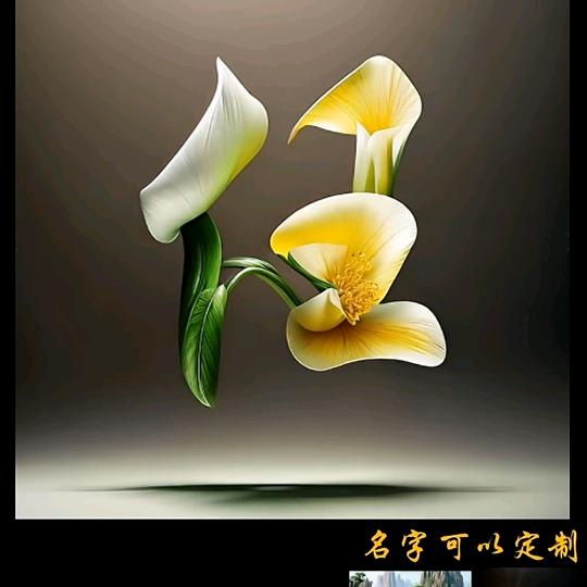 钢蛋