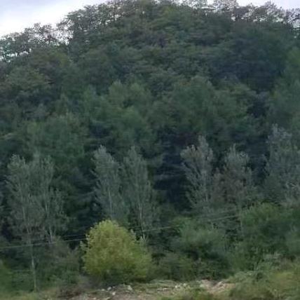 健康快乐哦哈哈