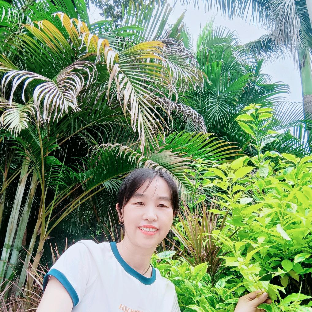 梅韵清幽