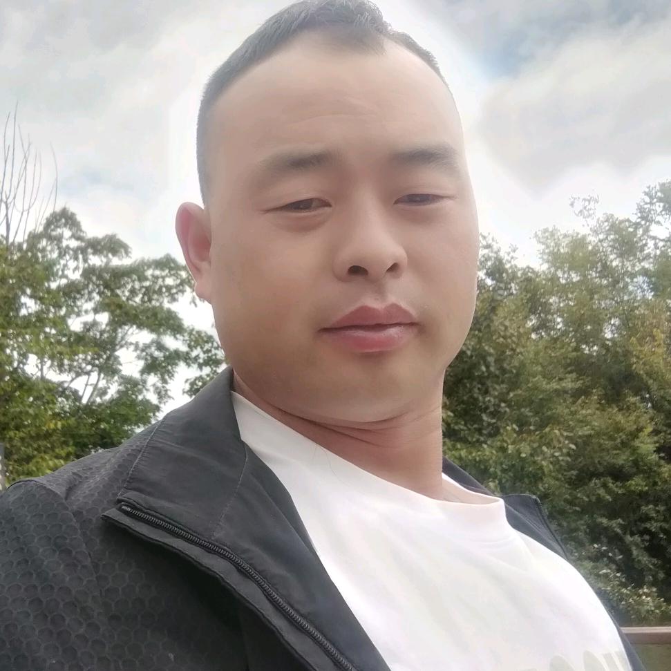 杨贵富