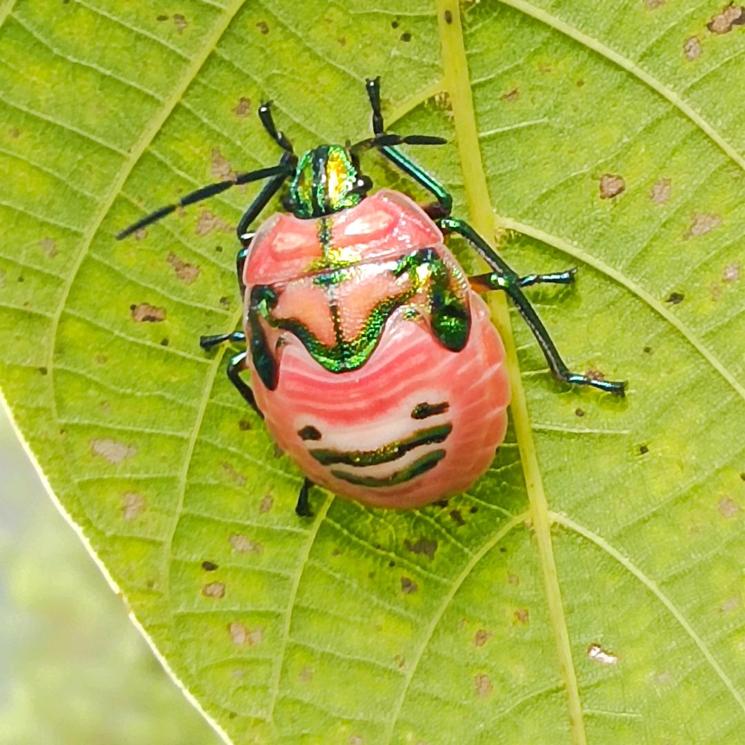 美好回忆(拒绝私聊)