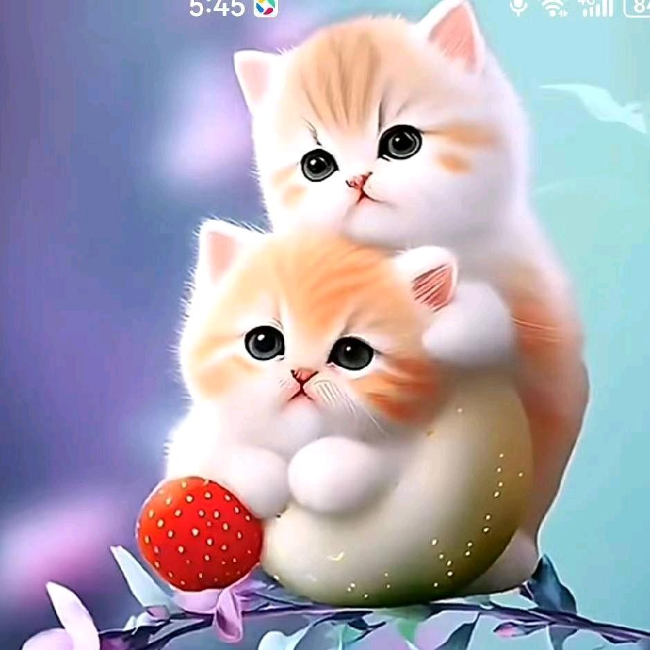 岁月静好