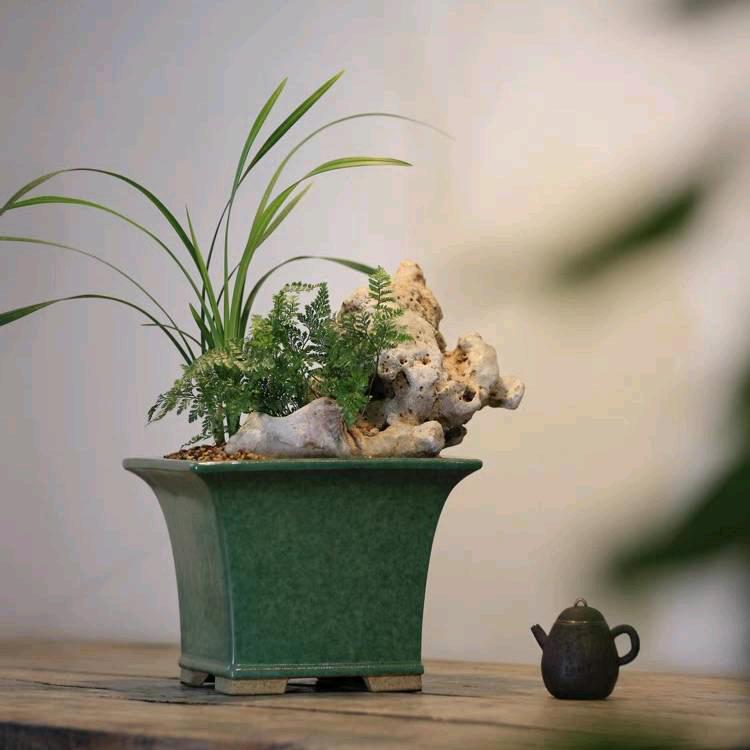 大自然花盆