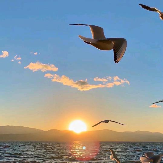 新来的火影主播。