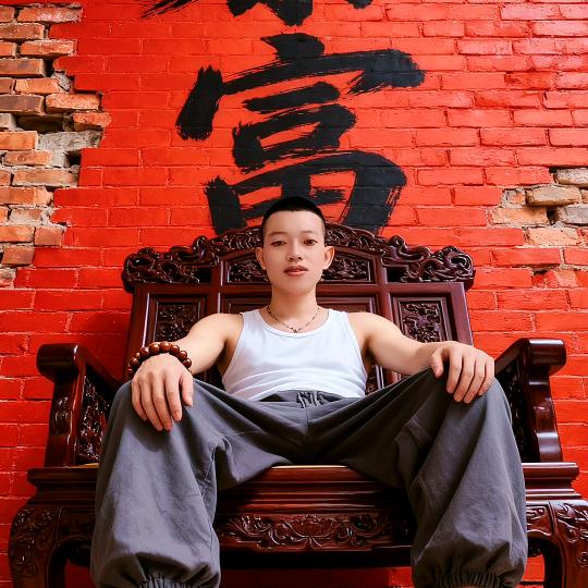 十虎九累