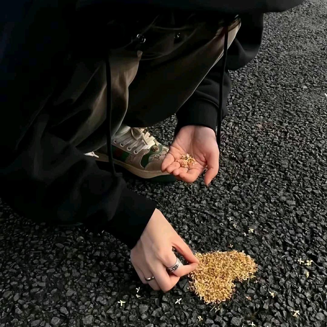 白驹过隙🐰