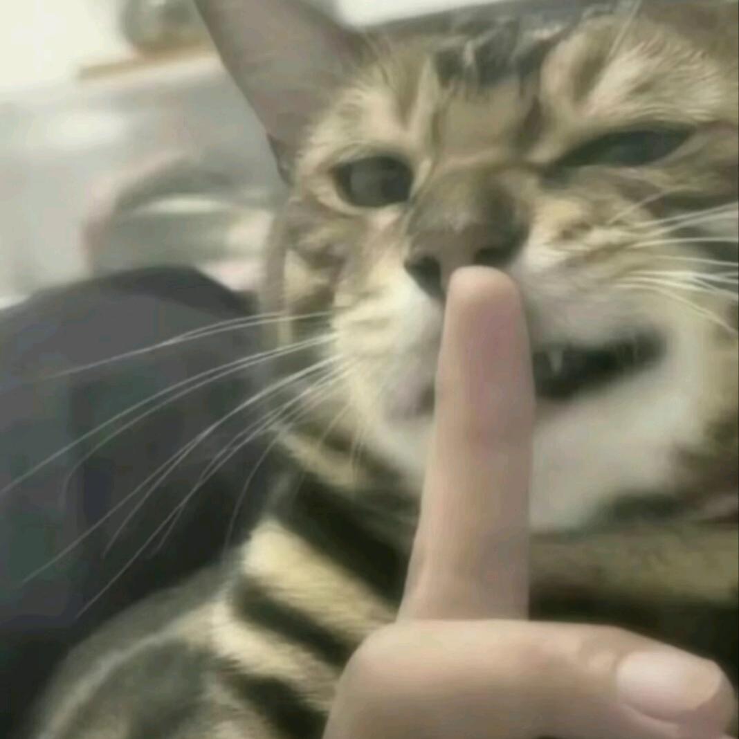 锤子