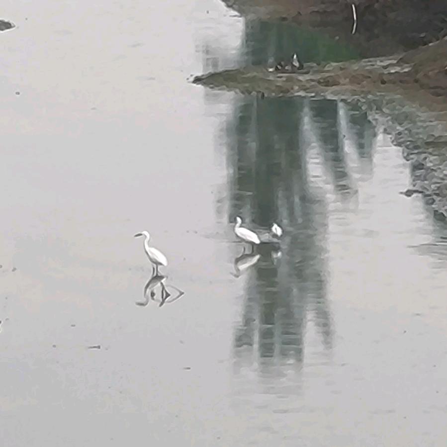 网链