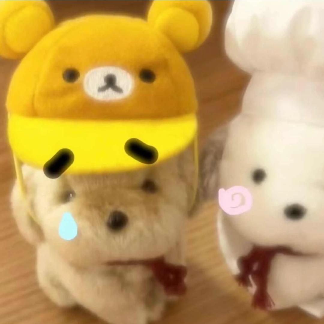 山西师范大学热心学长