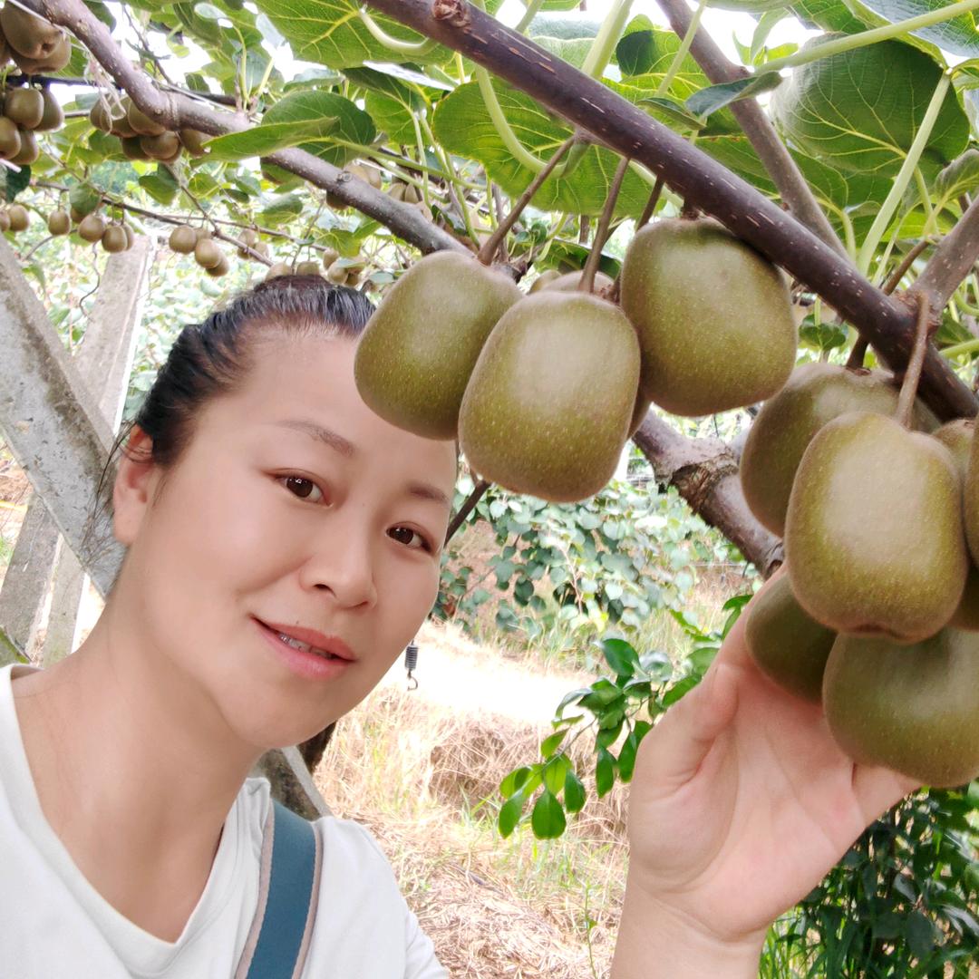 川西阳光 果业