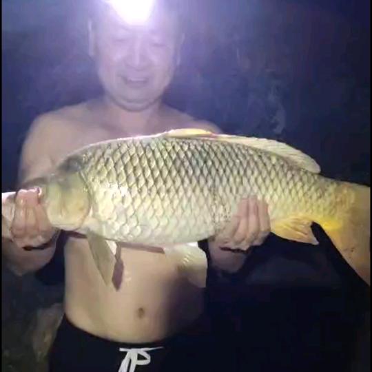 ****随遇而安****