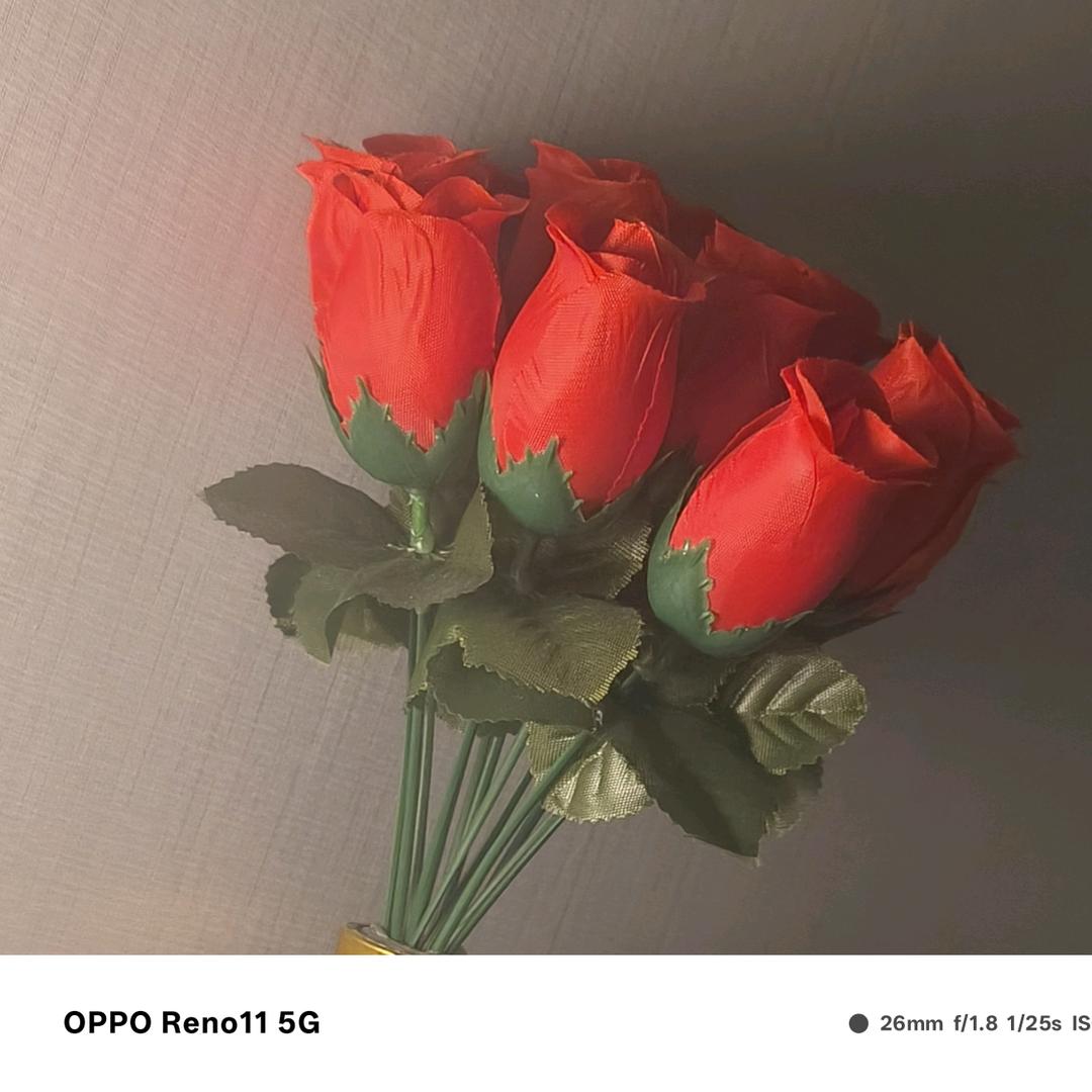 燕子姐姐👩🏻‍🚒