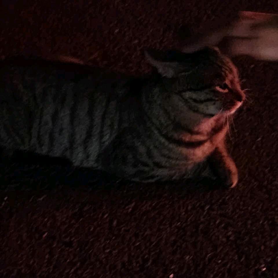 绝代
