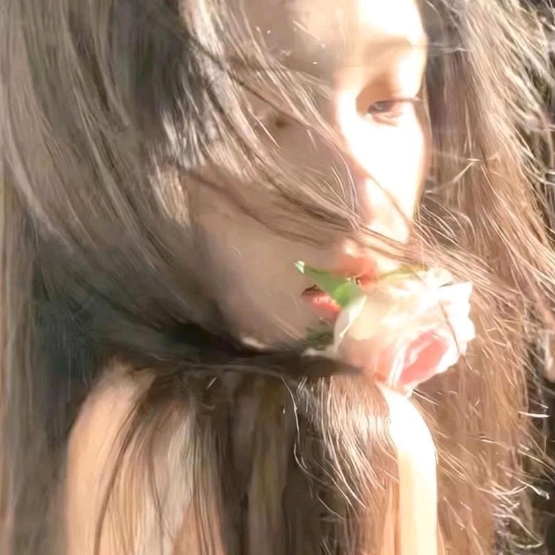 梦蝶