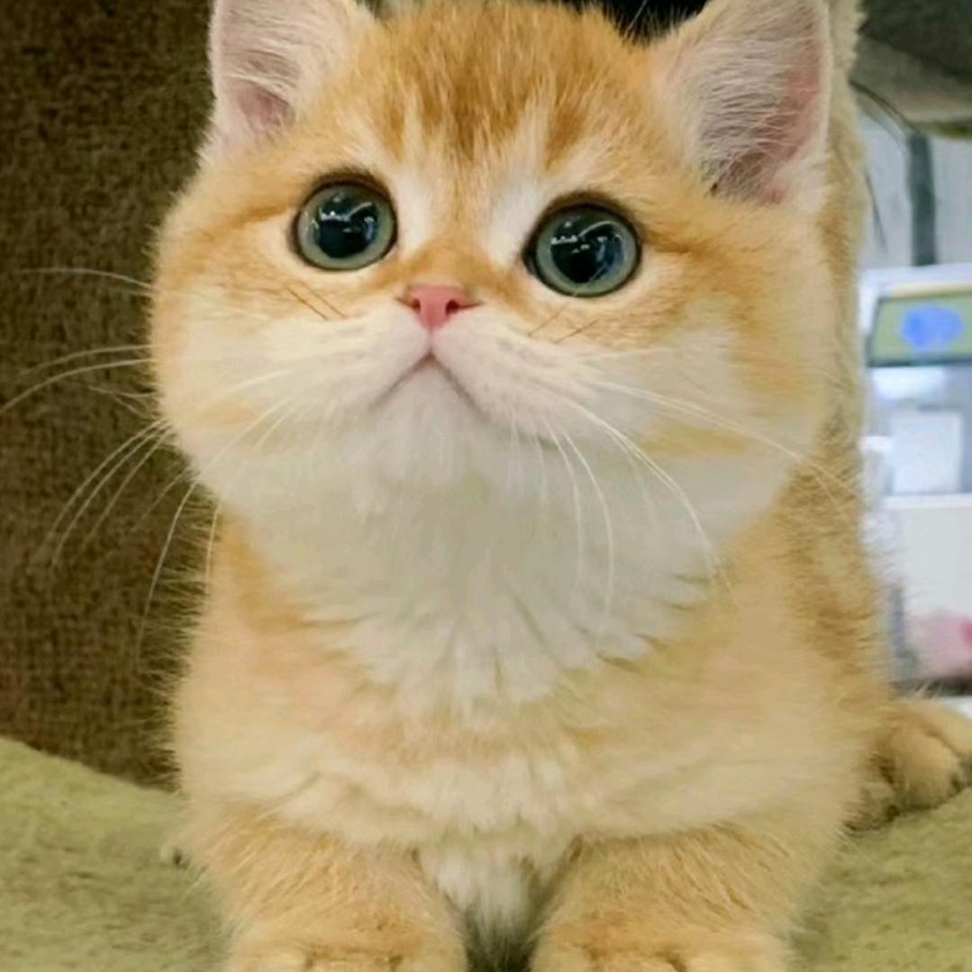 ？