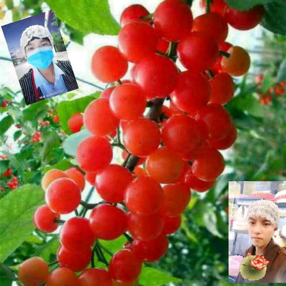 谢谢官方支持84631920