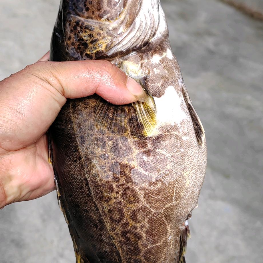 不求富贵但求平安