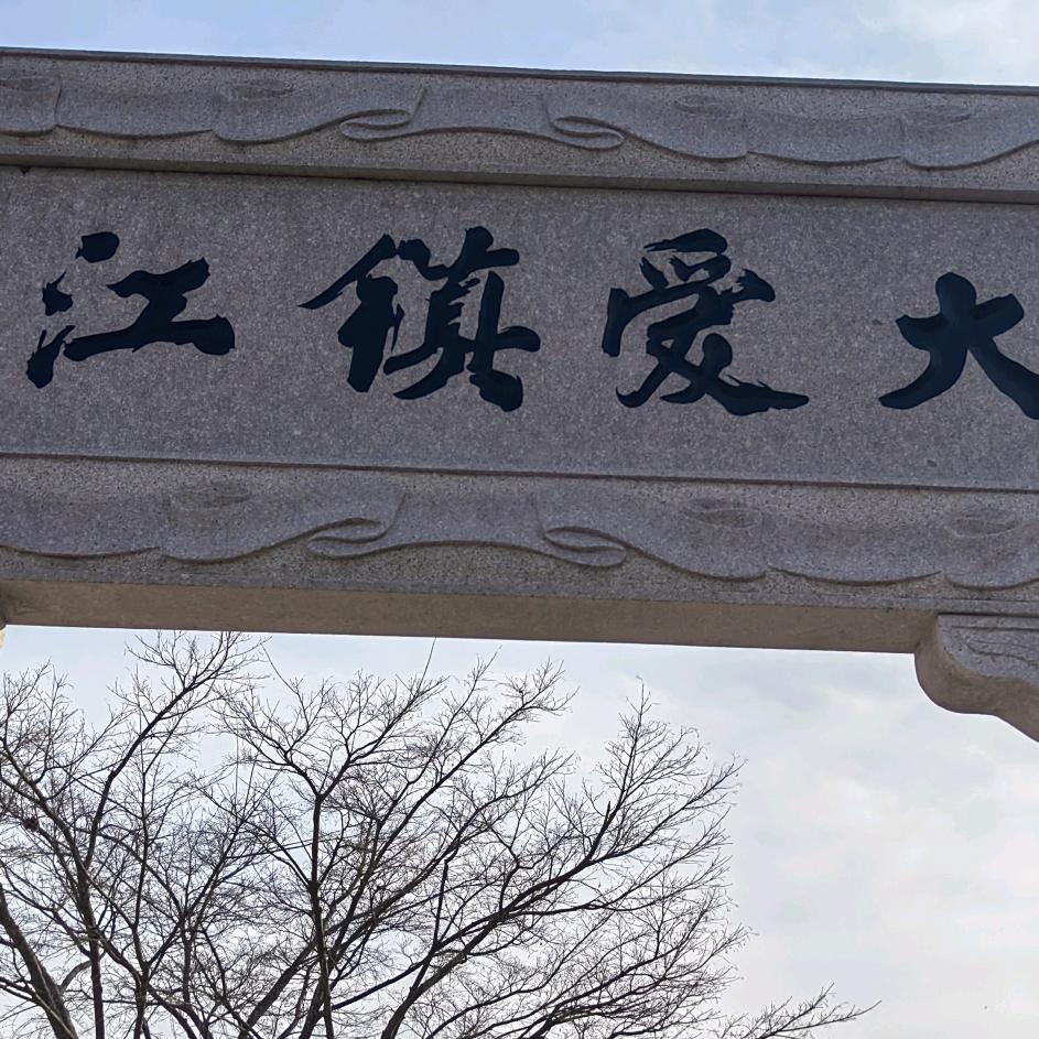 根根