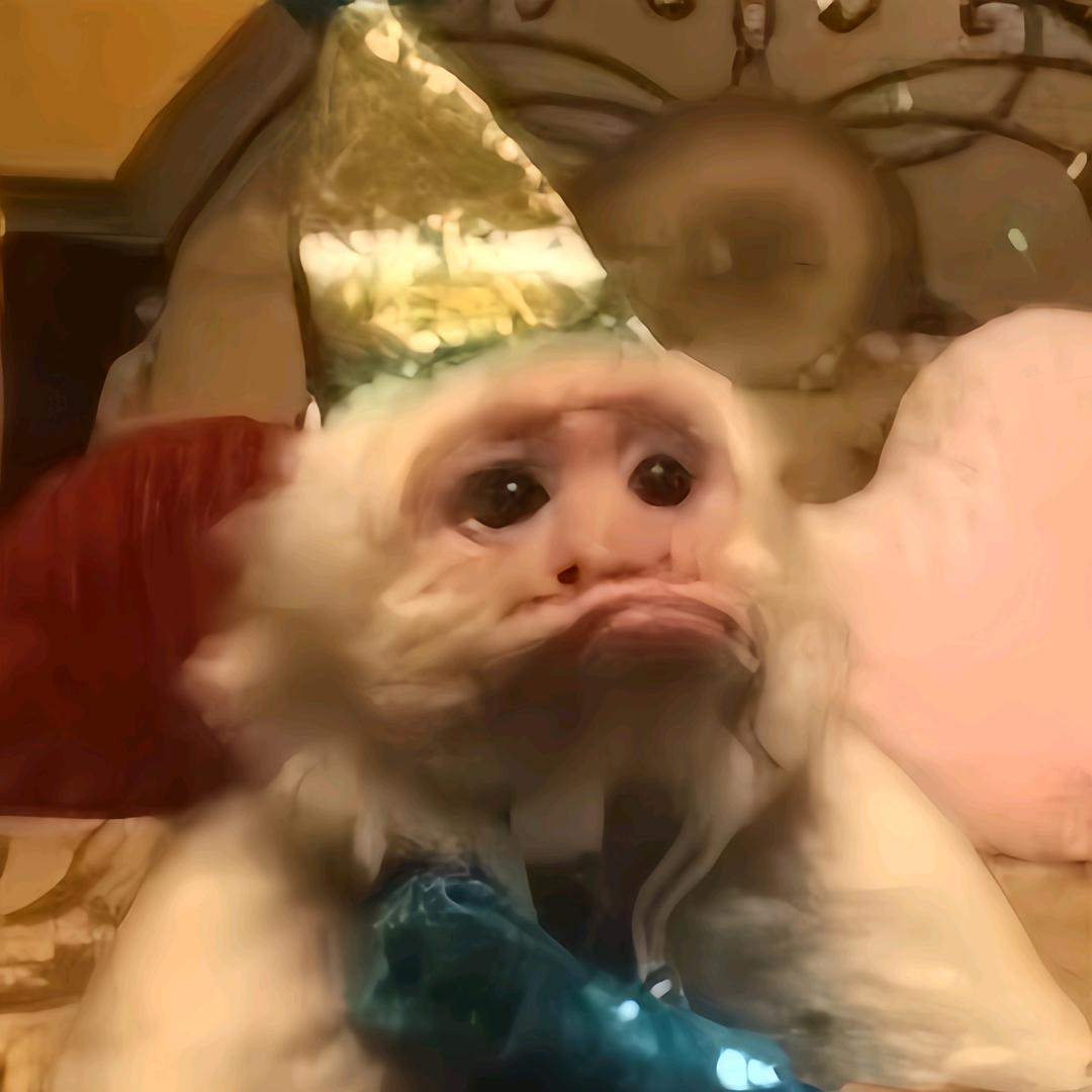 彩虹鱼仙 堡垒之夜