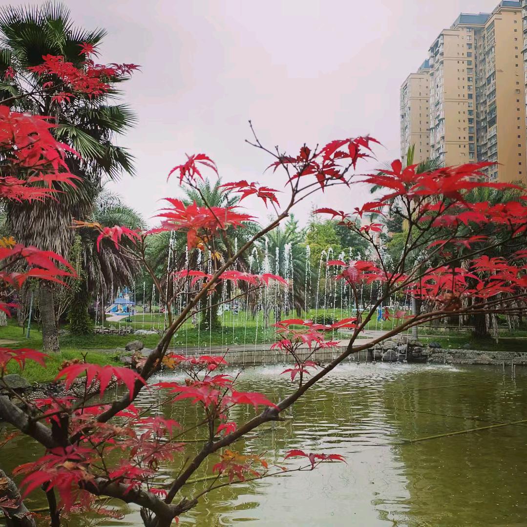 不闻不问