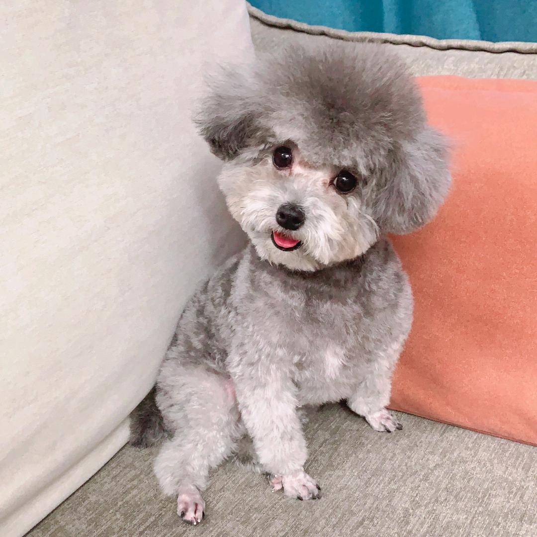 🐼🇨🇳迷你🤗🤗