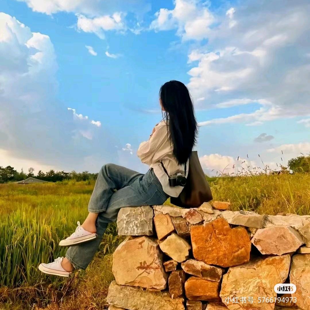 ✨社恐的小美🪭