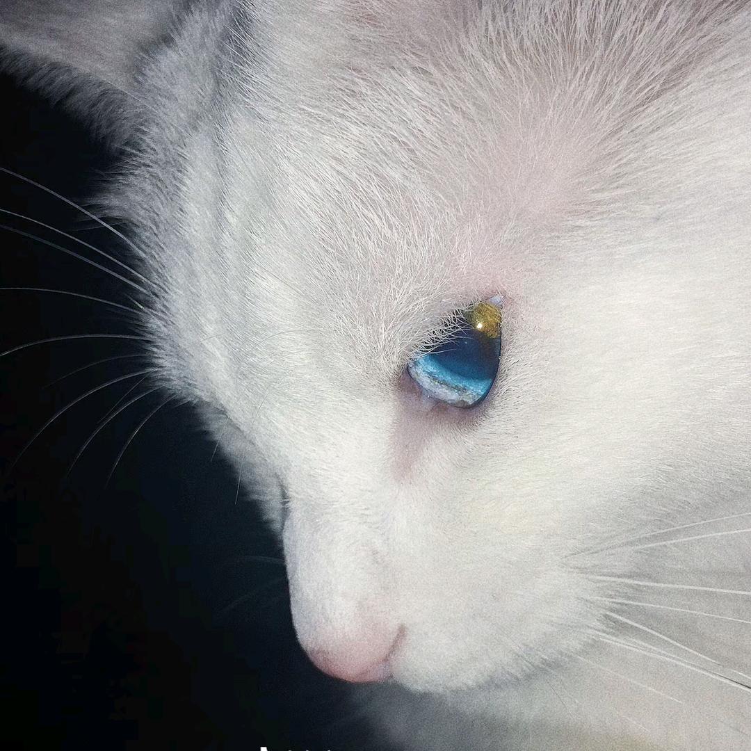 别说明天
