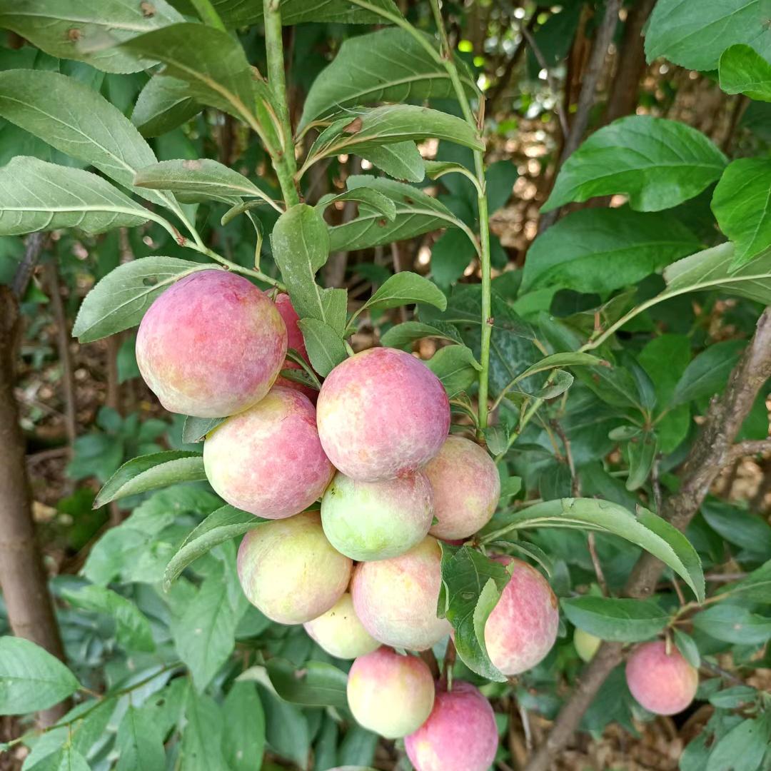 幸福常伴