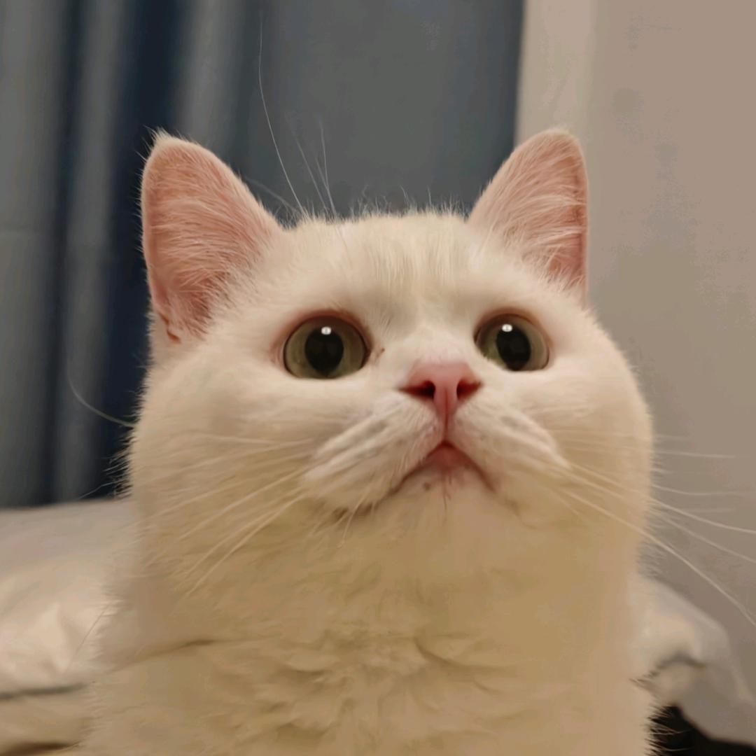 在路上