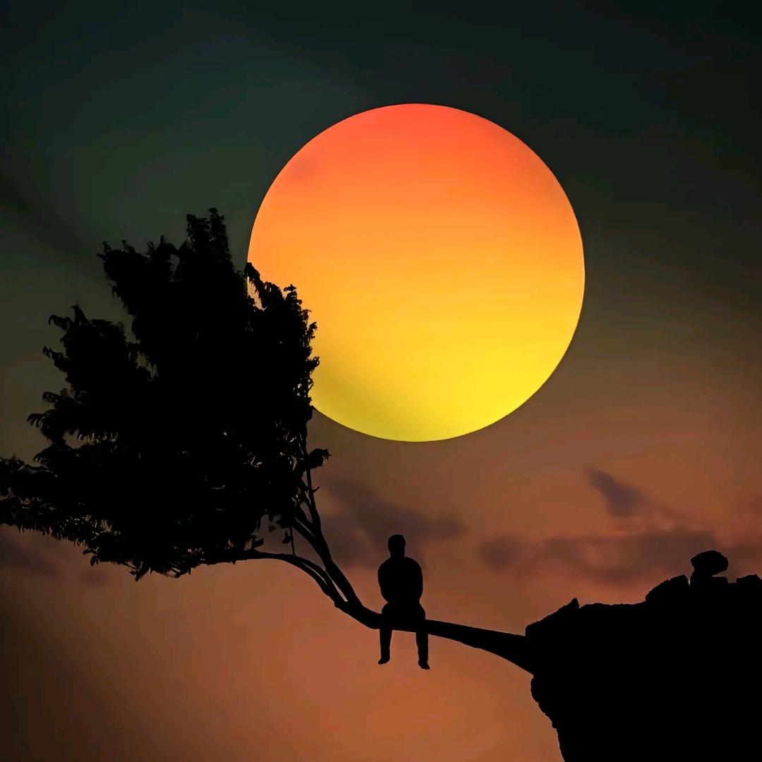 世事千帆过，前方终会是温柔和月光