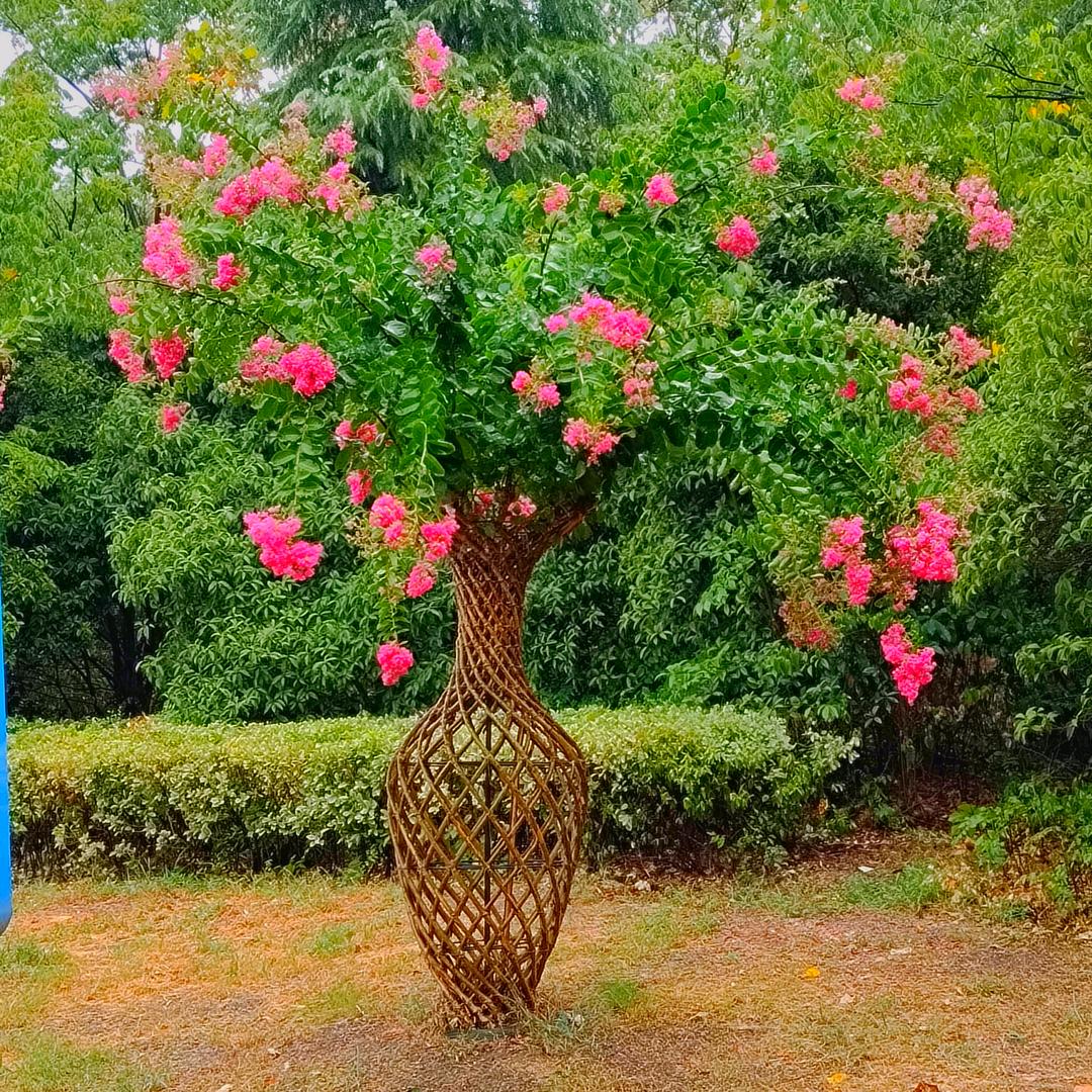 知秋，，，。宫