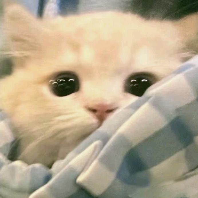 Yy7
