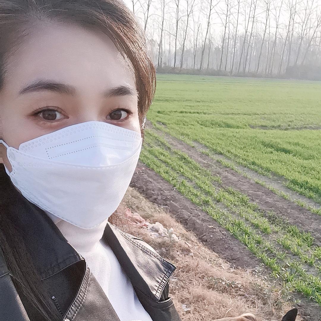 丽