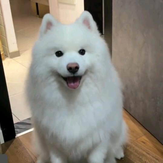 罗马神话