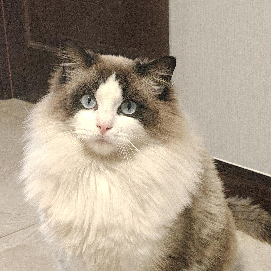 叶火