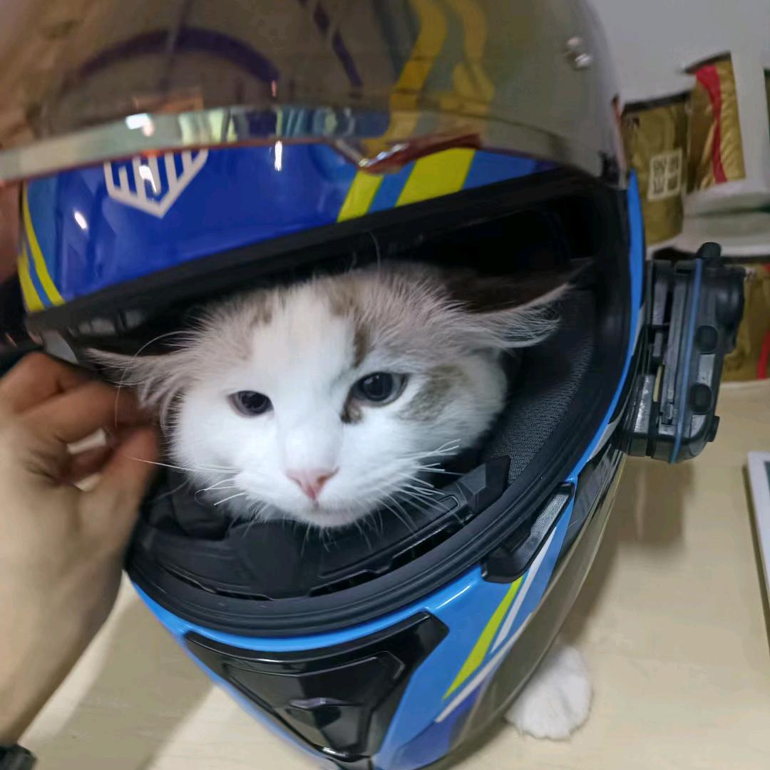 春风十里不压弯（咖啡版）