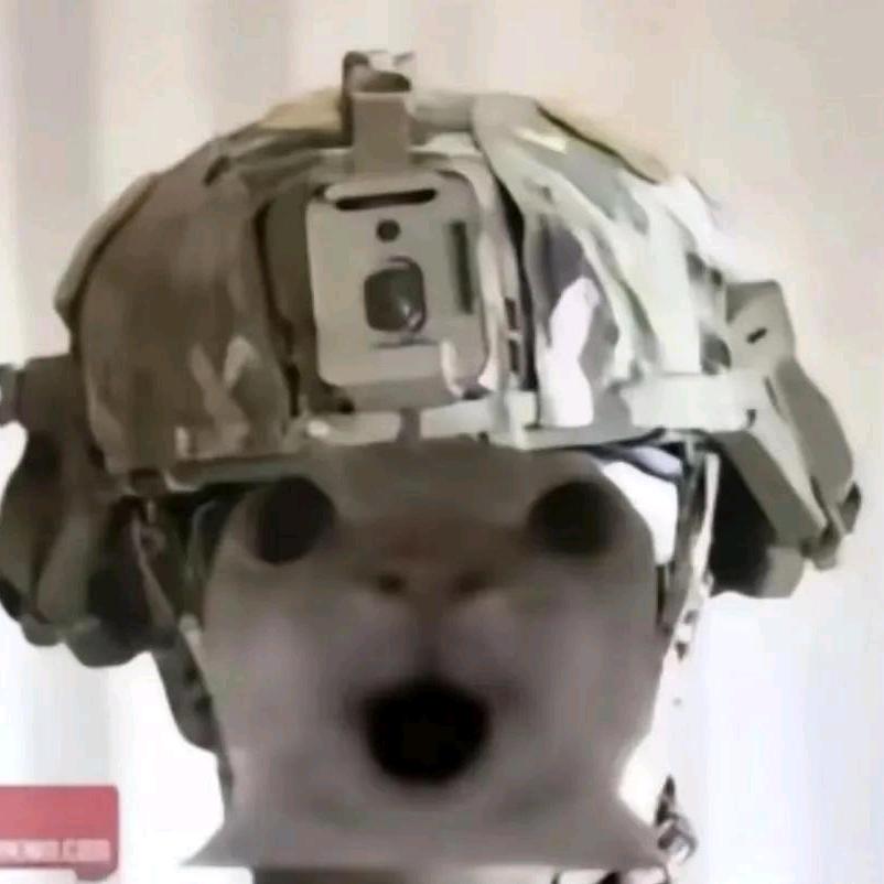 哈付毕（纯绿跑刀）