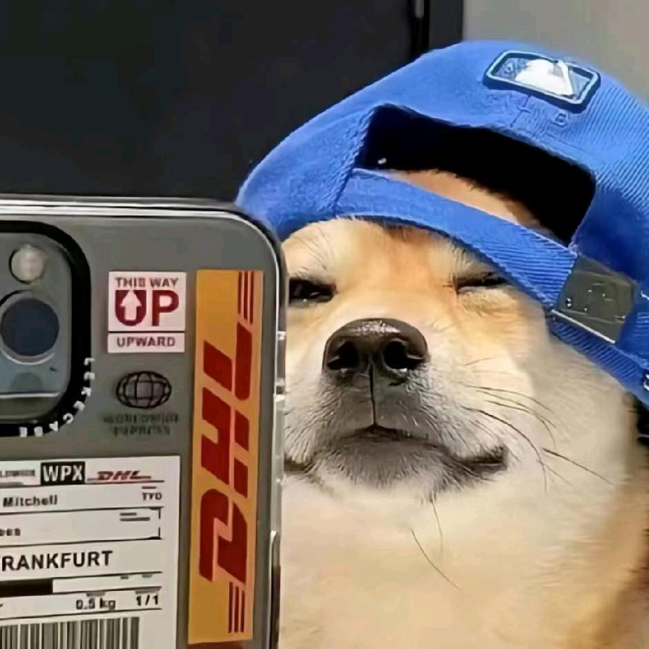 ㅤ   鑫ㅤㅤ🕋