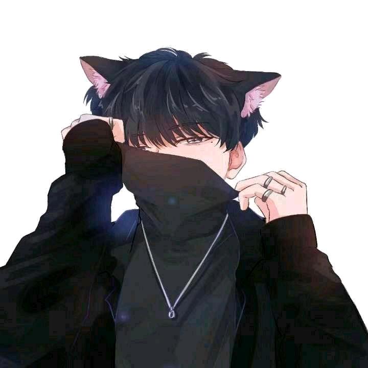 泊言