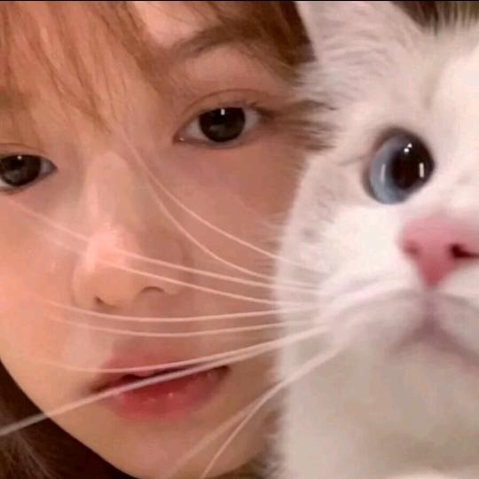 肥肉不好⁷