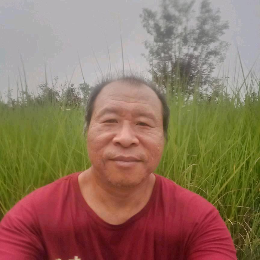 老虎哥，没人疼