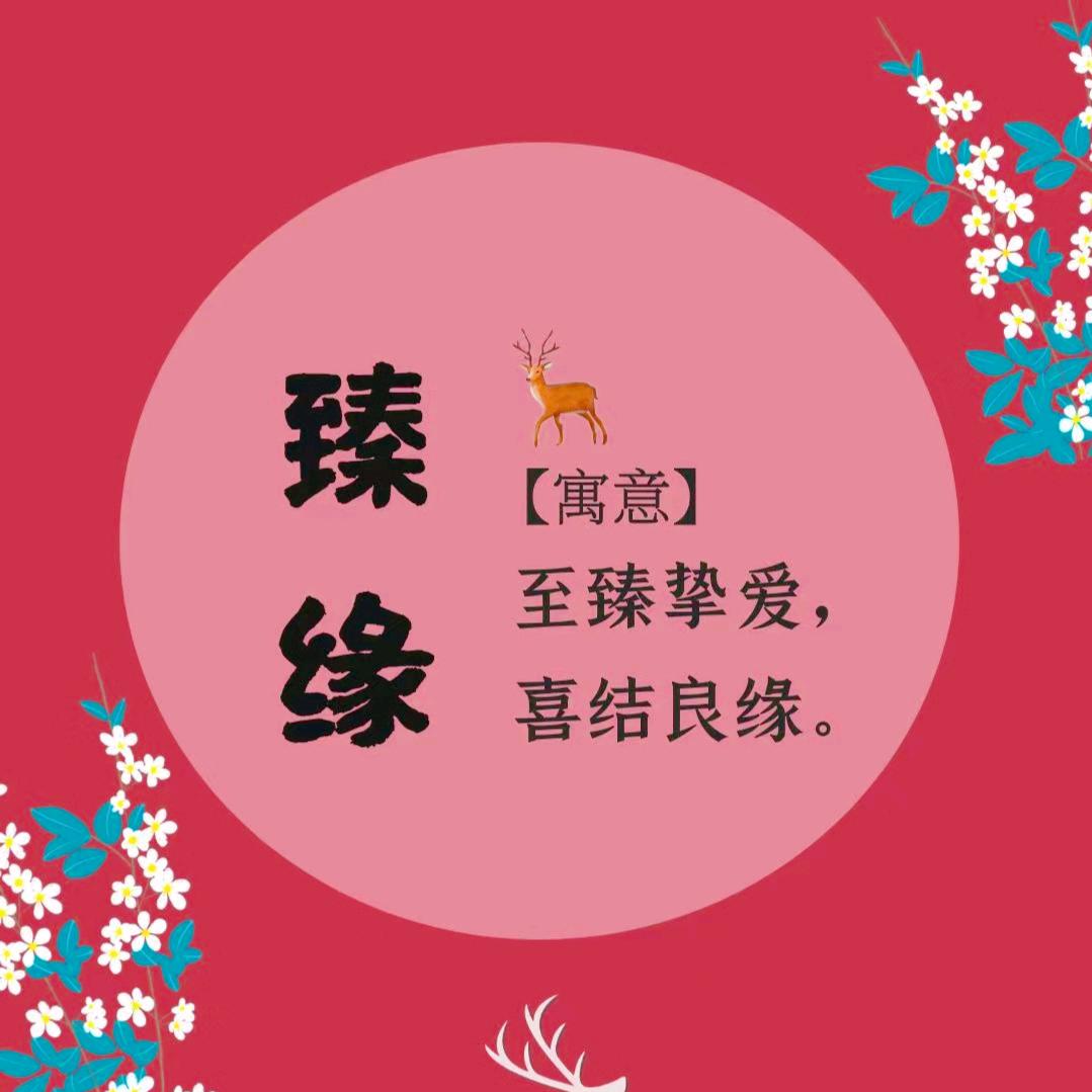 张家口臻缘红娘