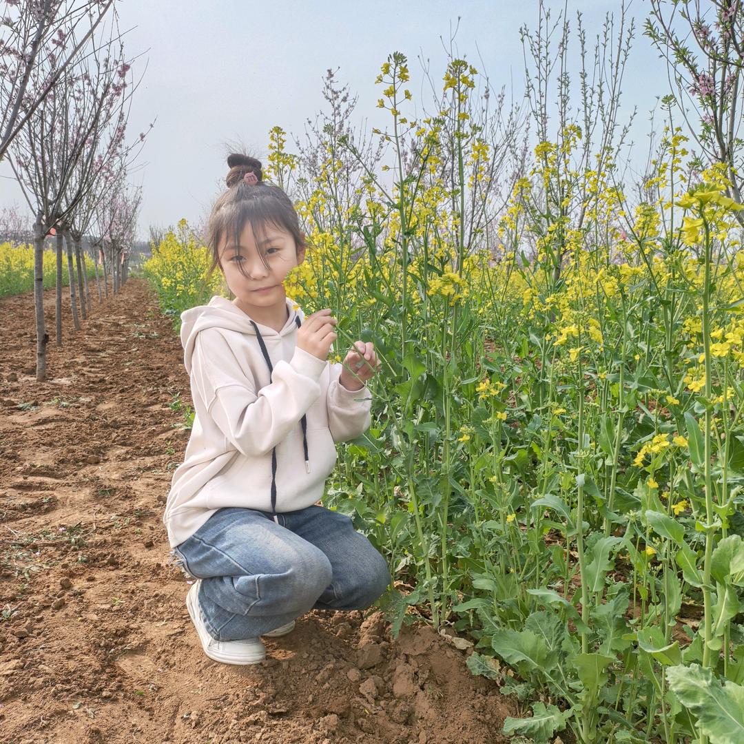 没有公主命要有女王心