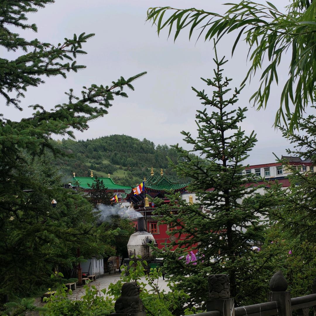 B．wJ1