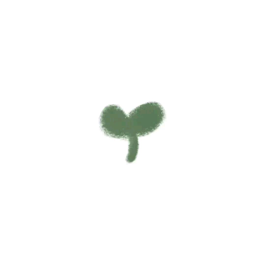 ᥫᩣᵕ̈