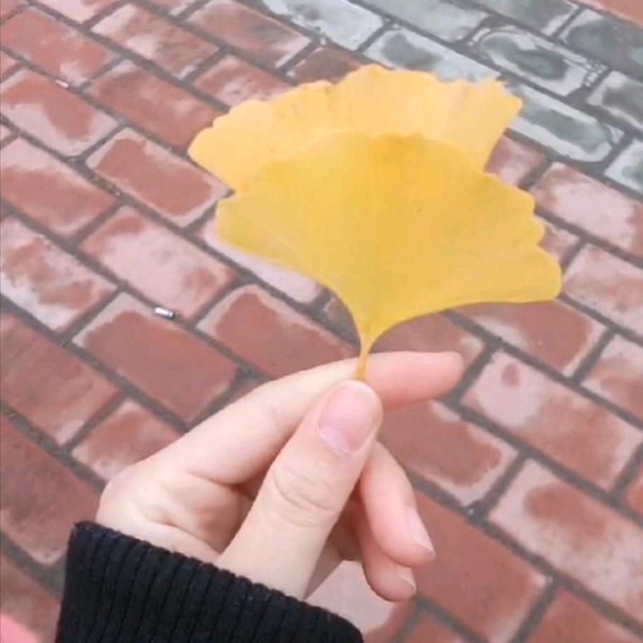 忧郁1105