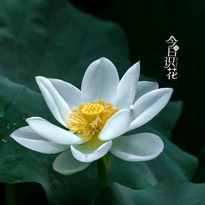 @余生爱自己。