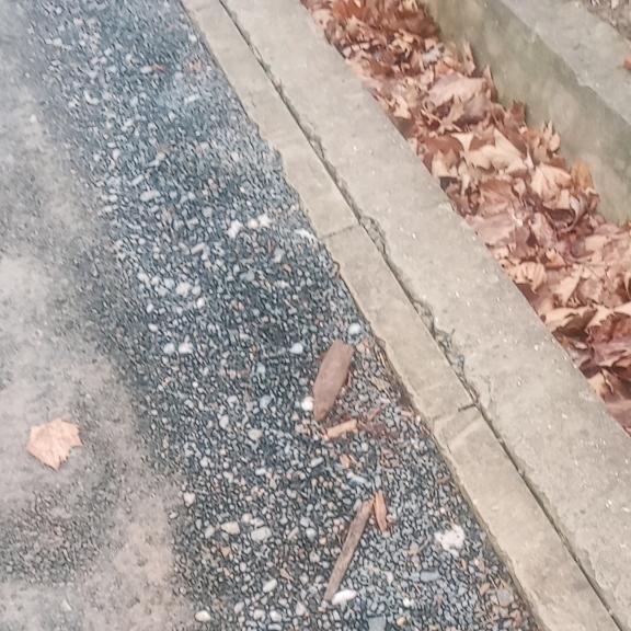 程宝虎